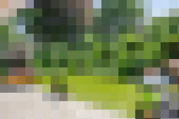 De Stille Wille 278 Oost West en Middelbeers thumbnail 19