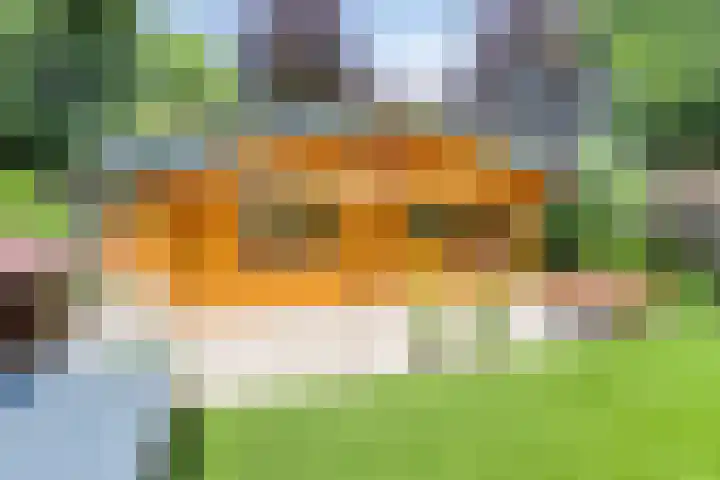 De Stille Wille 278 Oost West en Middelbeers thumbnail 20