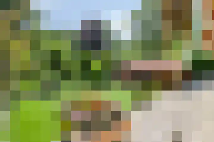 De Stille Wille 278 Oost West en Middelbeers thumbnail 21