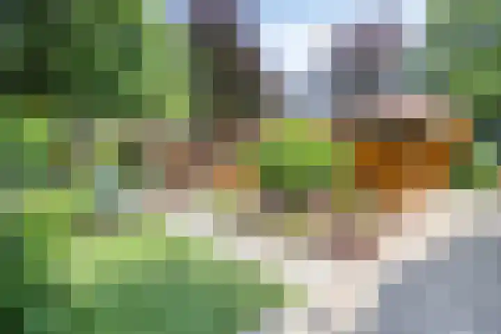 De Stille Wille 278 Oost West en Middelbeers thumbnail 22