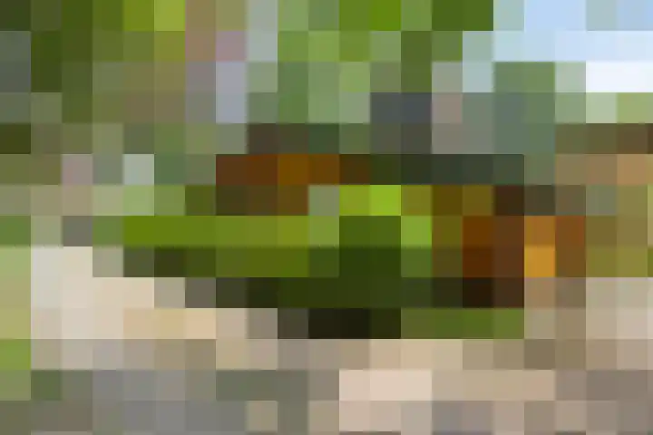 De Stille Wille 278 Oost West en Middelbeers thumbnail 23