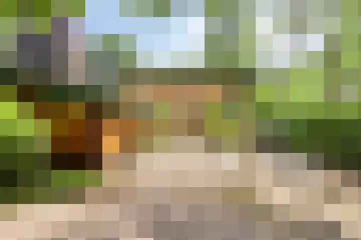 De Stille Wille 278 Oost West en Middelbeers thumbnail 25