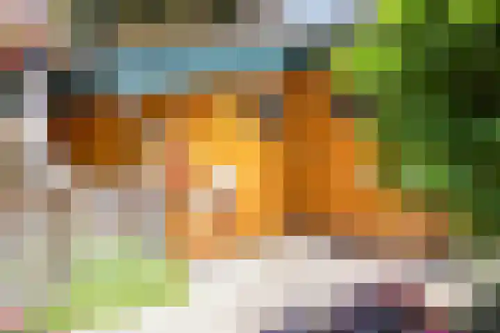De Stille Wille 278 Oost West en Middelbeers thumbnail 28