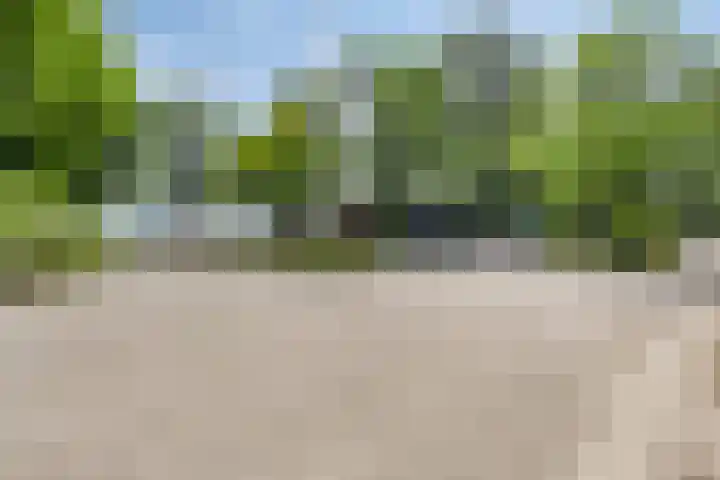 De Stille Wille 278 Oost West en Middelbeers thumbnail 30