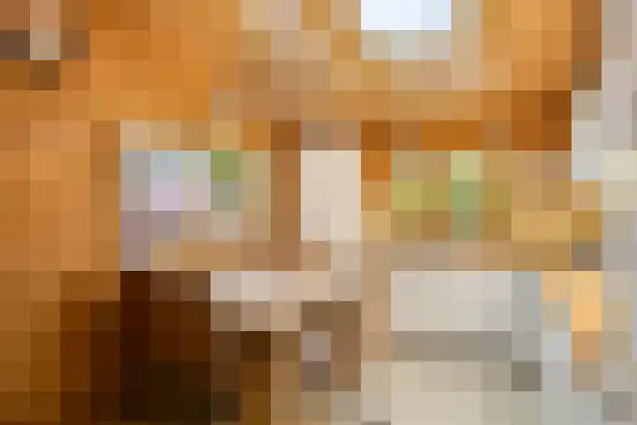 De Stille Wille 278 Oost West en Middelbeers thumbnail 8