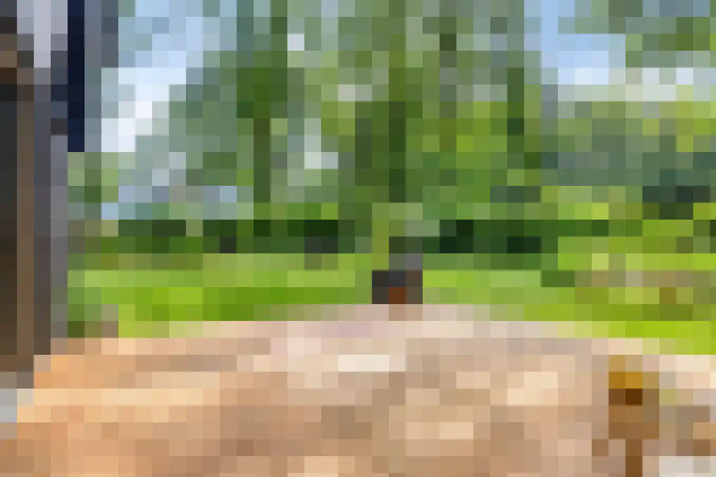 De Stille Wille 29 Oost West en Middelbeers thumbnail 44