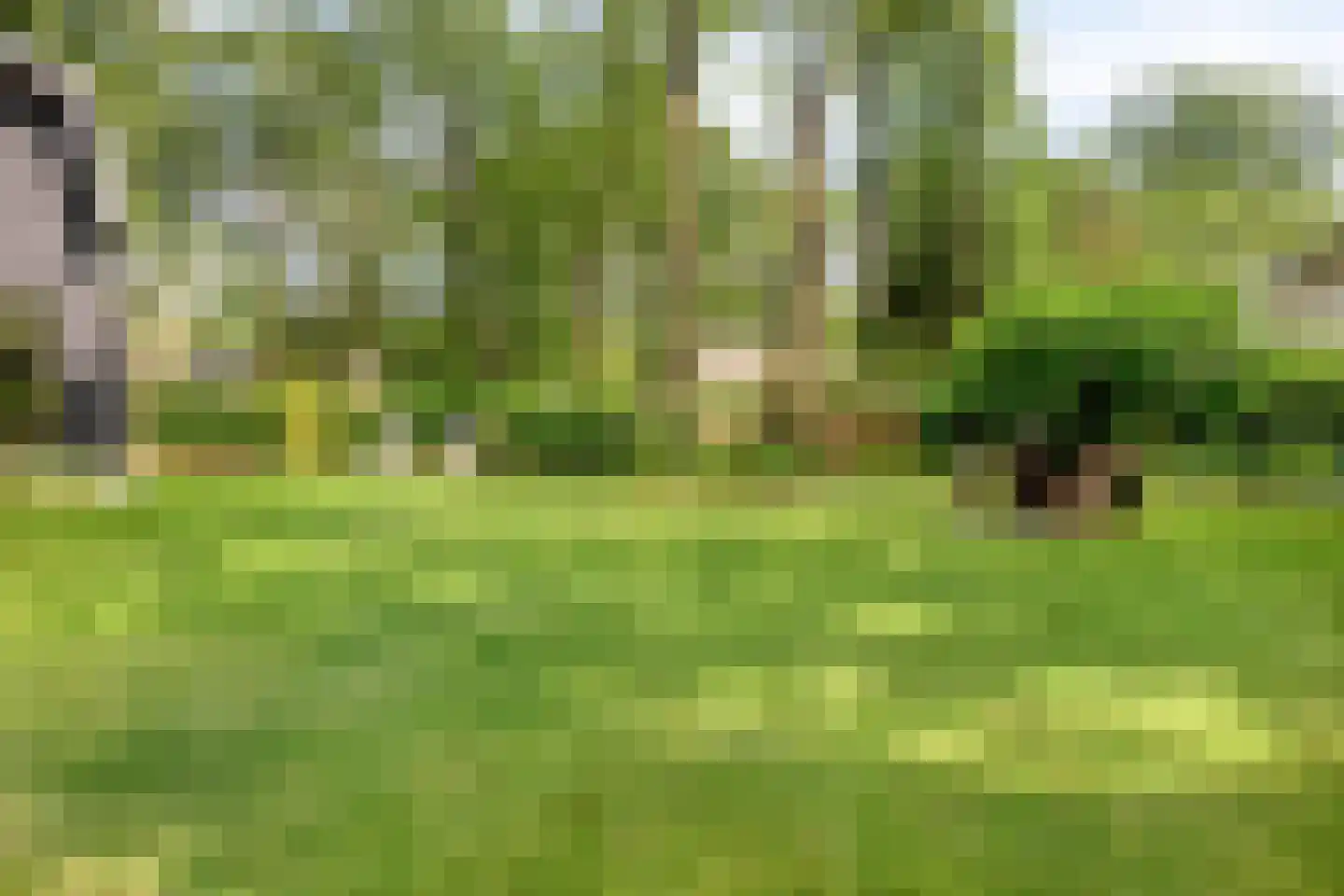 De Stille Wille 29 Oost West en Middelbeers thumbnail 45