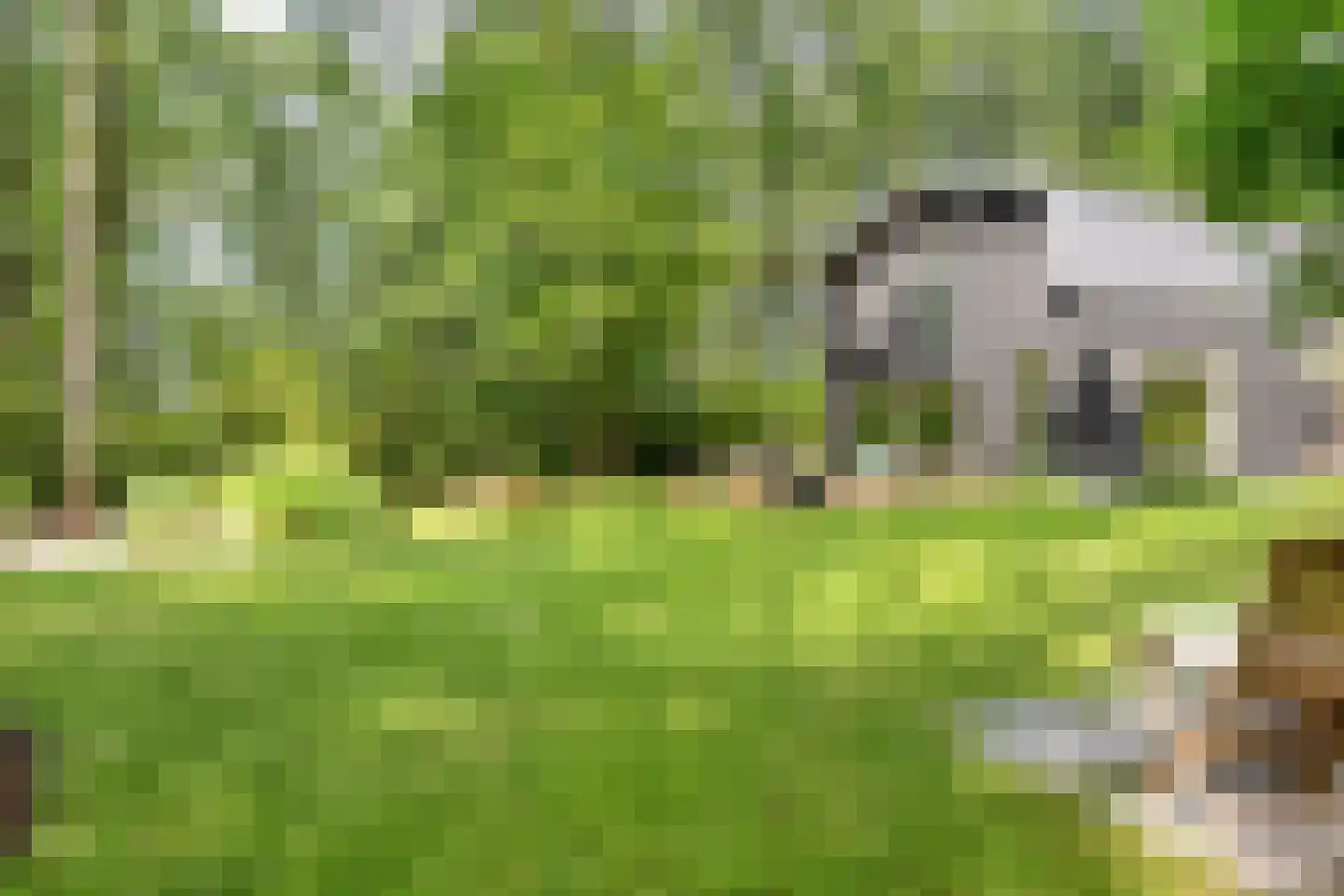 De Stille Wille 29 Oost West en Middelbeers thumbnail 46