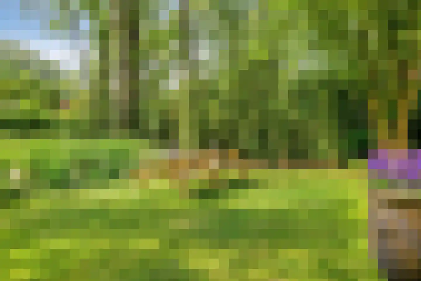 De Stille Wille 29 Oost West en Middelbeers thumbnail 49