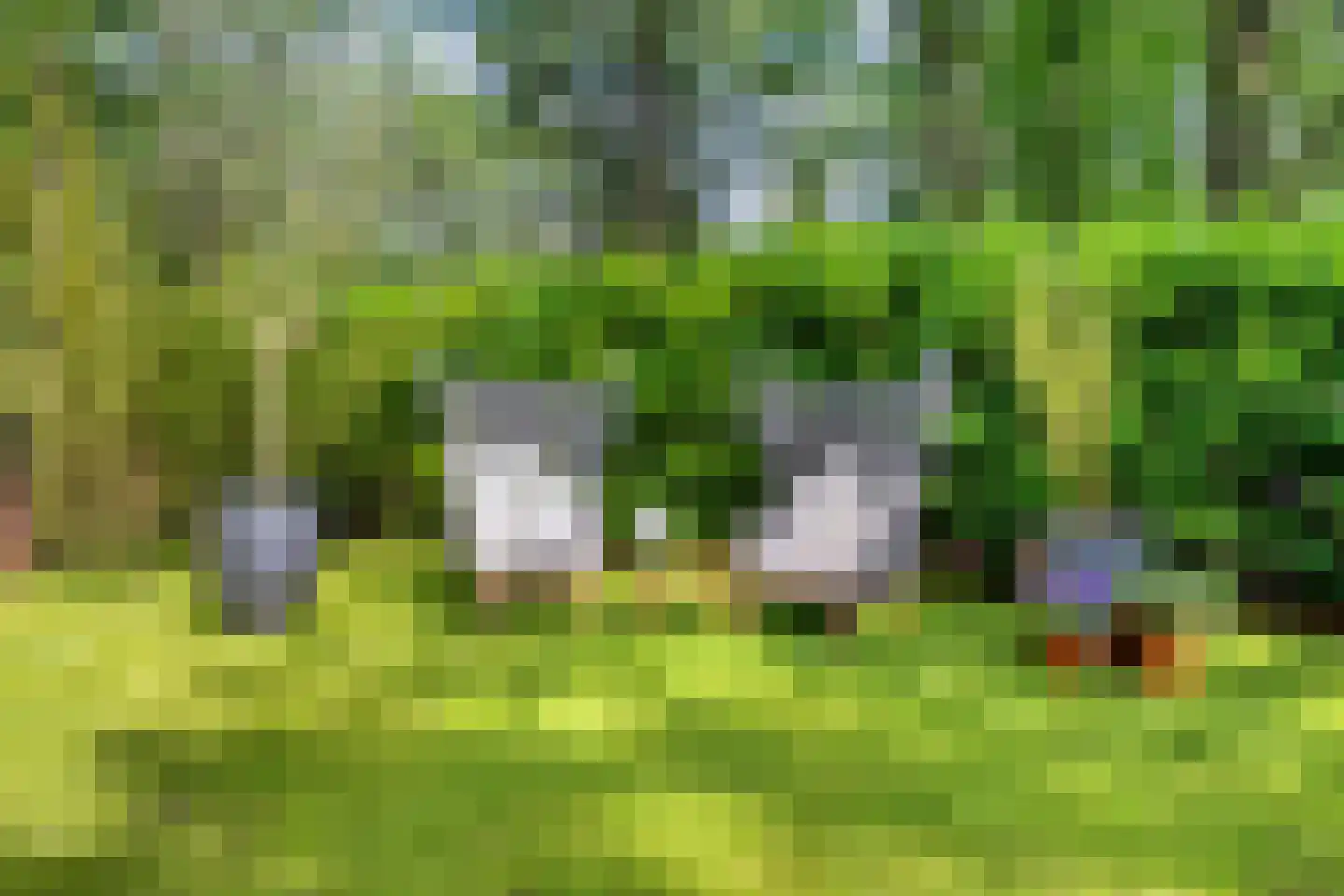 De Stille Wille 29 Oost West en Middelbeers thumbnail 52