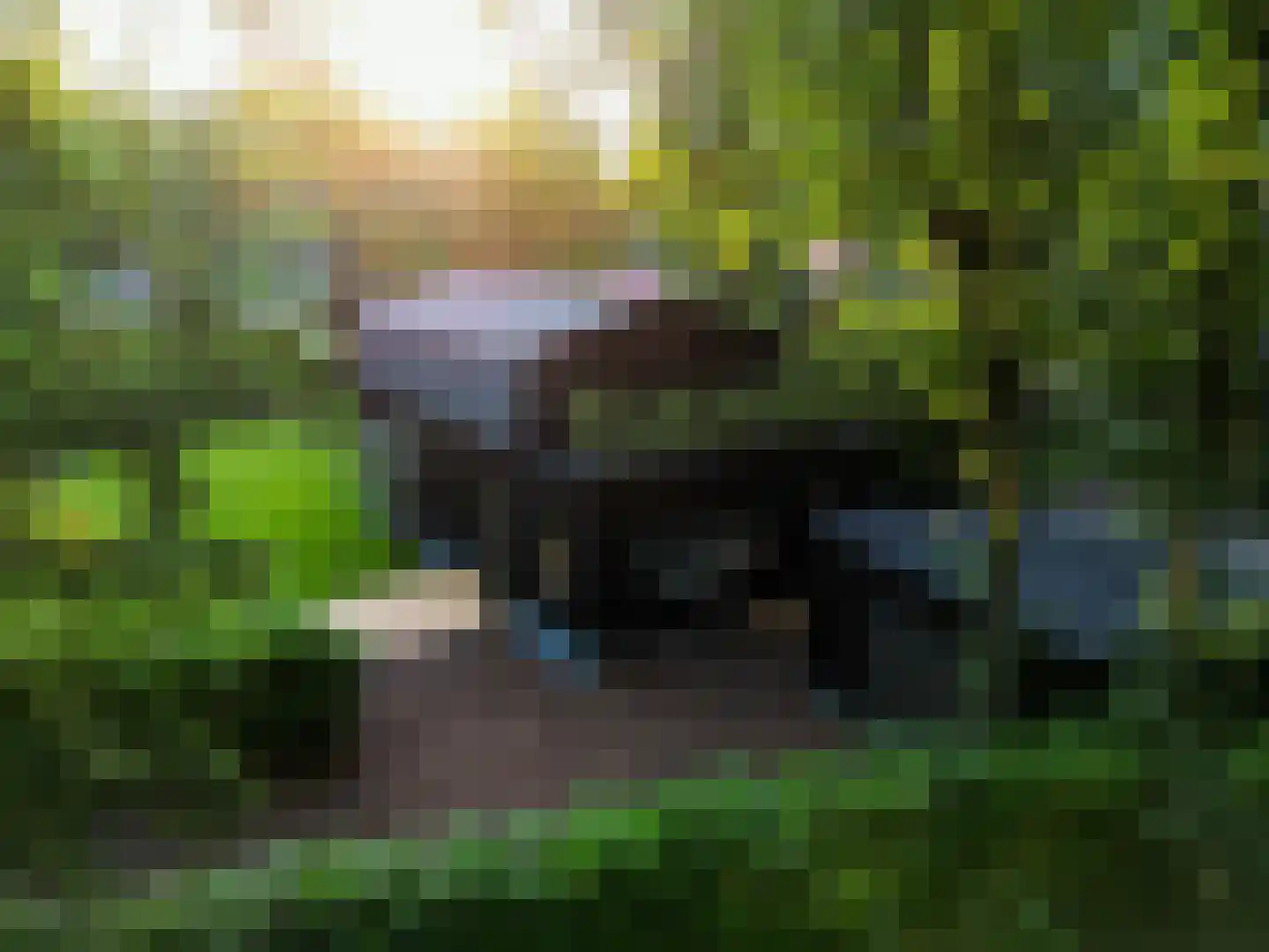 De Stille Wille 29 Oost West en Middelbeers thumbnail 58