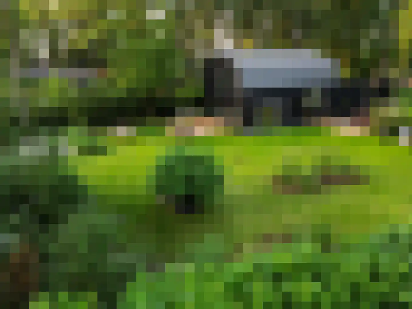 De Stille Wille 29 Oost West en Middelbeers thumbnail 59