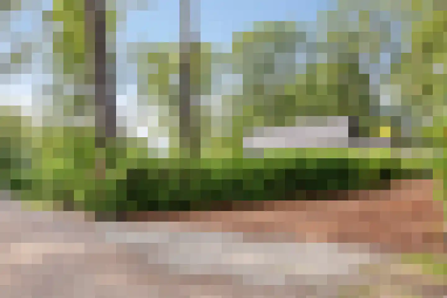 De Stille Wille 29 Oost West en Middelbeers thumbnail 62