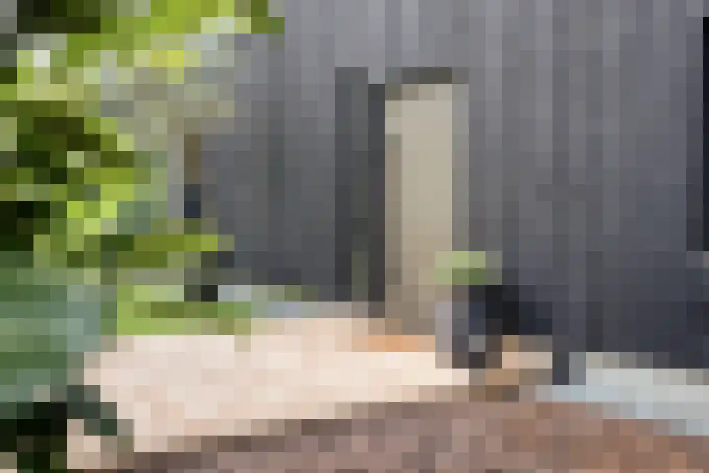 De Stille Wille 29 Oost West en Middelbeers thumbnail 8