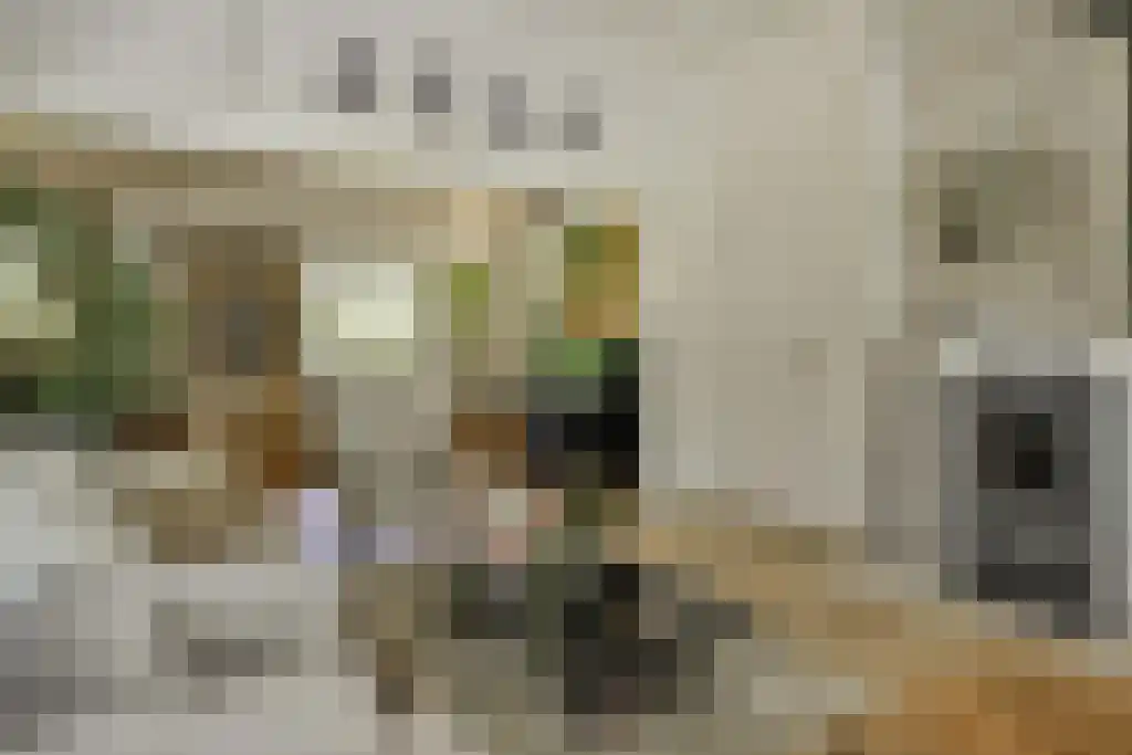 De Stille Wille 303 Oost West en Middelbeers thumbnail 11