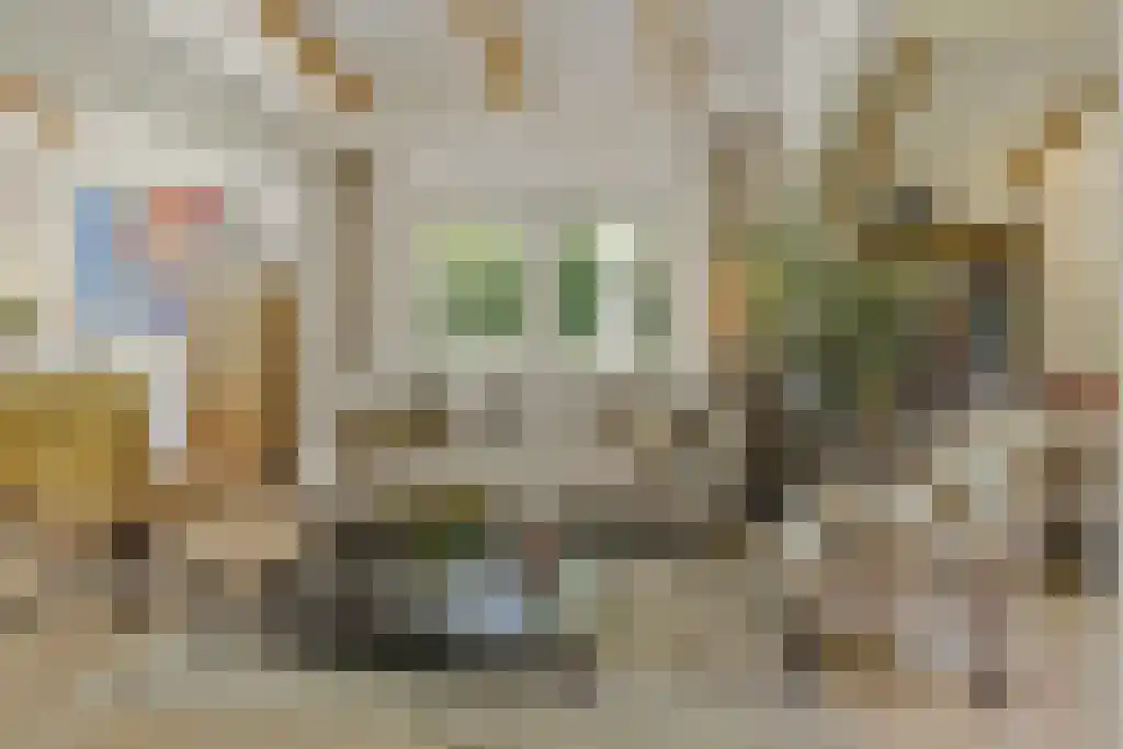 De Stille Wille 303 Oost West en Middelbeers thumbnail 12