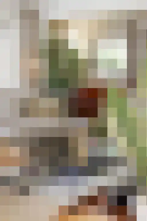 De Stille Wille 303 Oost West en Middelbeers thumbnail 13
