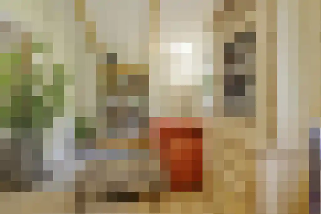 De Stille Wille 303 Oost West en Middelbeers thumbnail 15