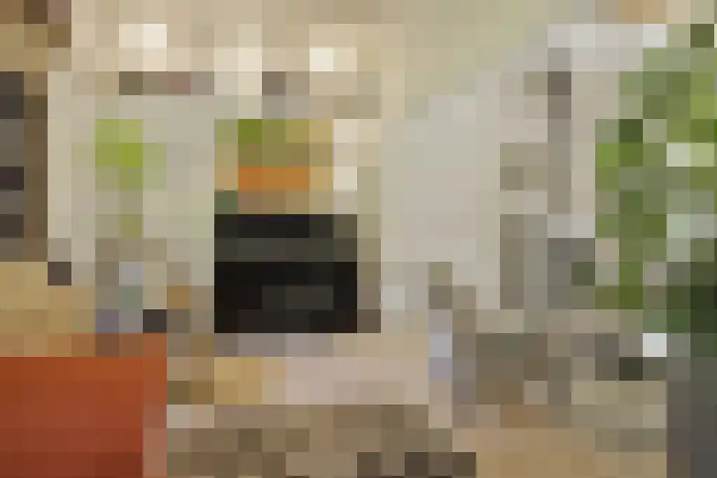 De Stille Wille 303 Oost West en Middelbeers thumbnail 16