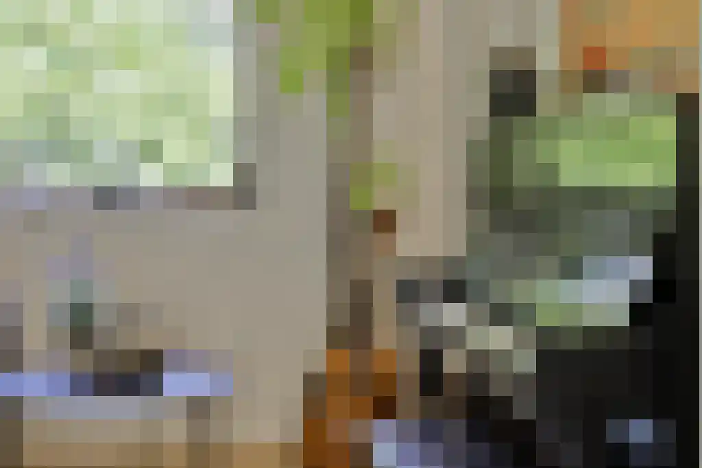 De Stille Wille 303 Oost West en Middelbeers thumbnail 17