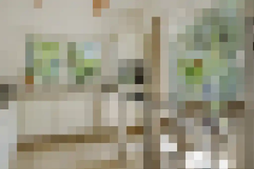 De Stille Wille 303 Oost West en Middelbeers thumbnail 18