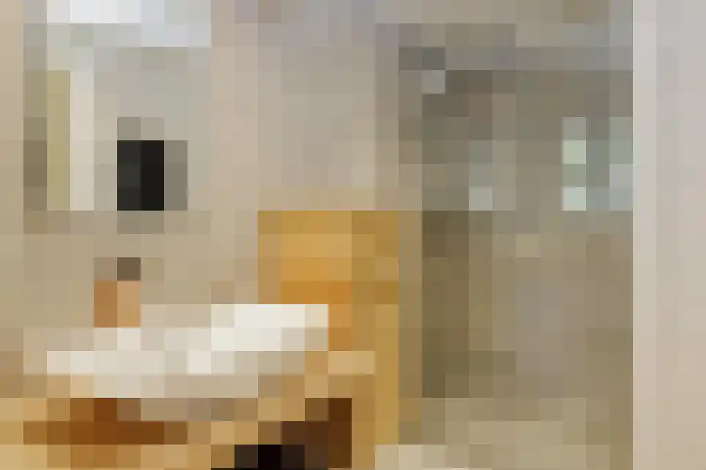 De Stille Wille 303 Oost West en Middelbeers thumbnail 24