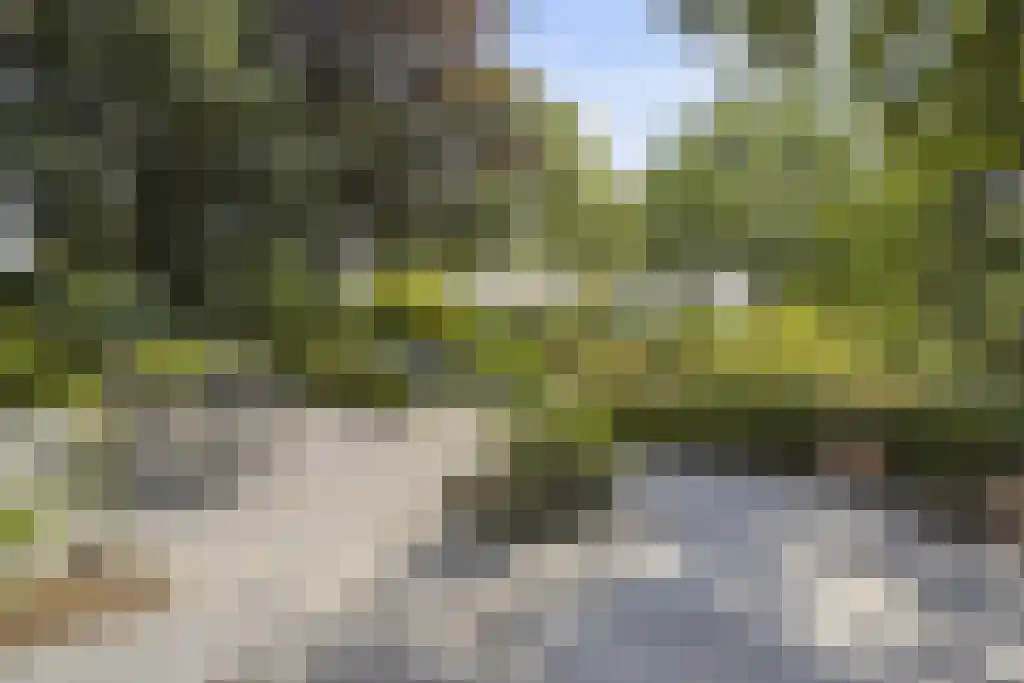 De Stille Wille 303 Oost West en Middelbeers thumbnail 27
