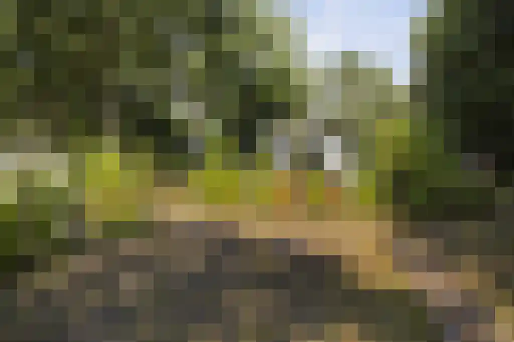 De Stille Wille 303 Oost West en Middelbeers thumbnail 28