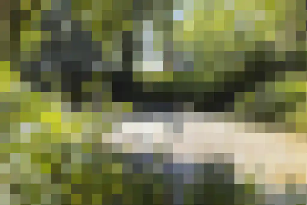 De Stille Wille 303 Oost West en Middelbeers thumbnail 29