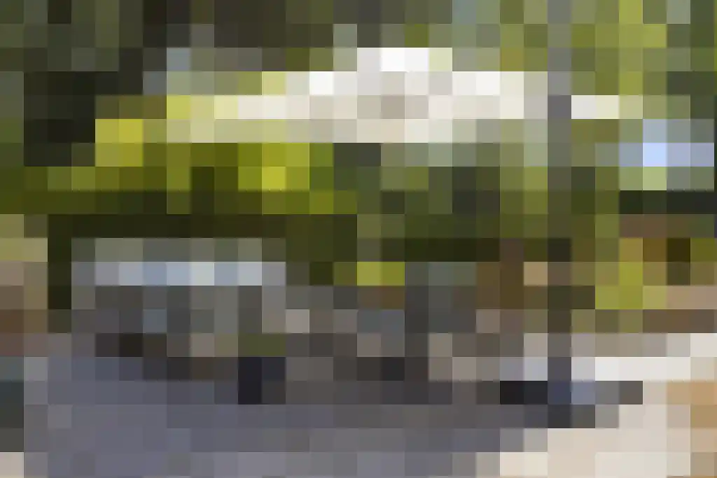 De Stille Wille 303 Oost West en Middelbeers thumbnail 30