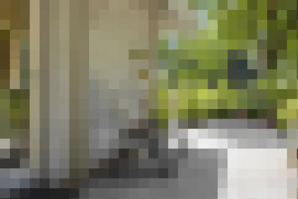 De Stille Wille 303 Oost West en Middelbeers thumbnail 31