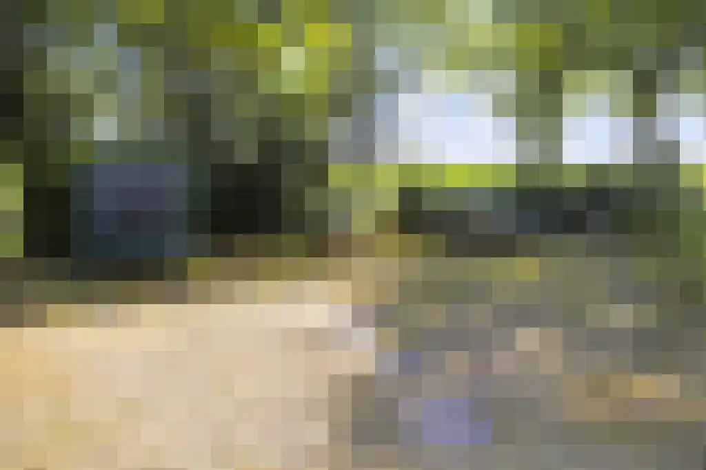 De Stille Wille 303 Oost West en Middelbeers thumbnail 32