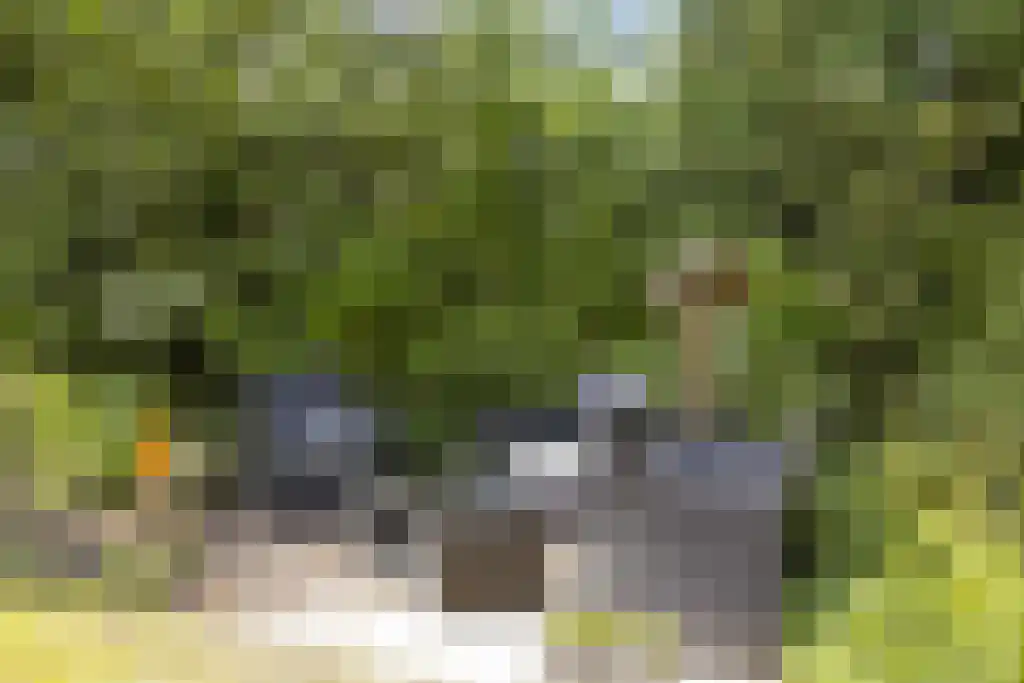 De Stille Wille 303 Oost West en Middelbeers thumbnail 33