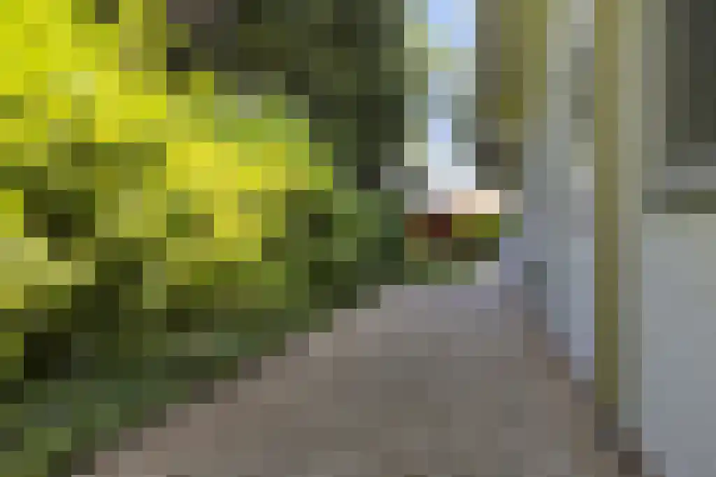 De Stille Wille 303 Oost West en Middelbeers thumbnail 34