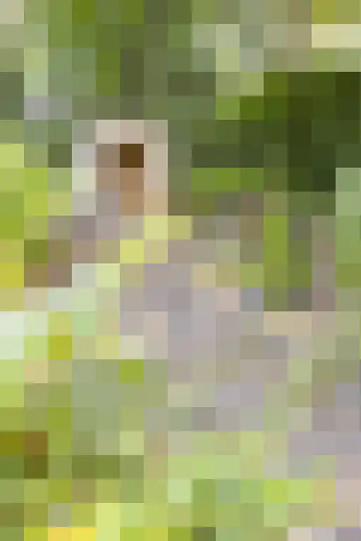 De Stille Wille 303 Oost West en Middelbeers thumbnail 36