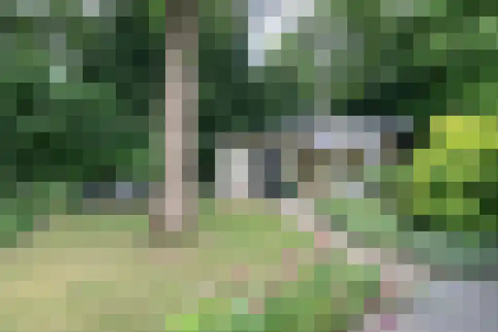 De Stille Wille 303 Oost West en Middelbeers thumbnail 37