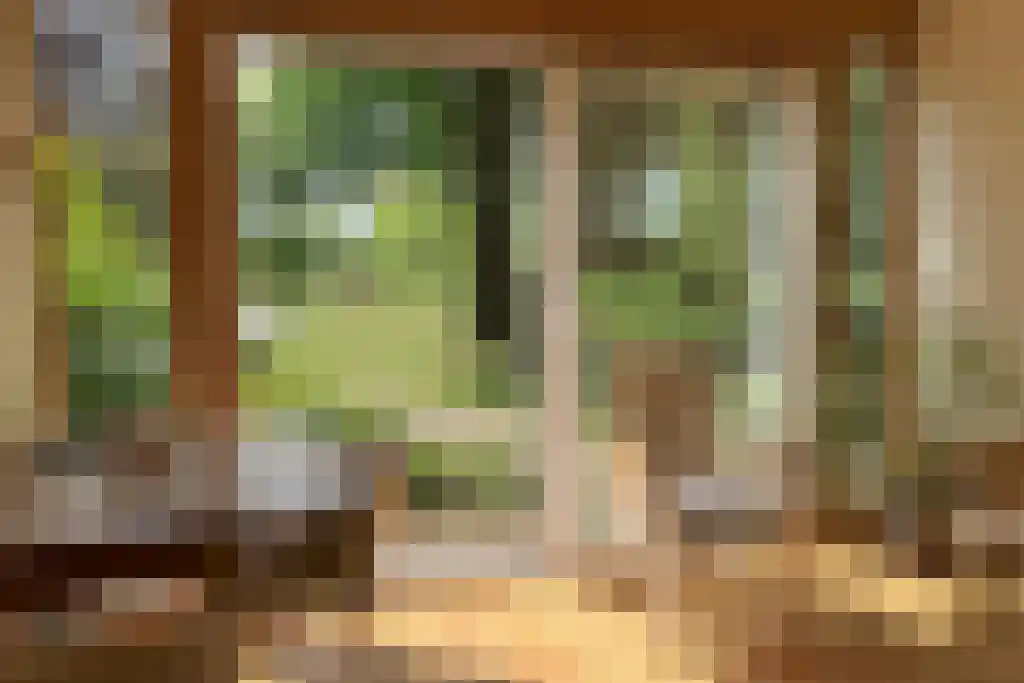 De Stille Wille 303 Oost West en Middelbeers thumbnail 39