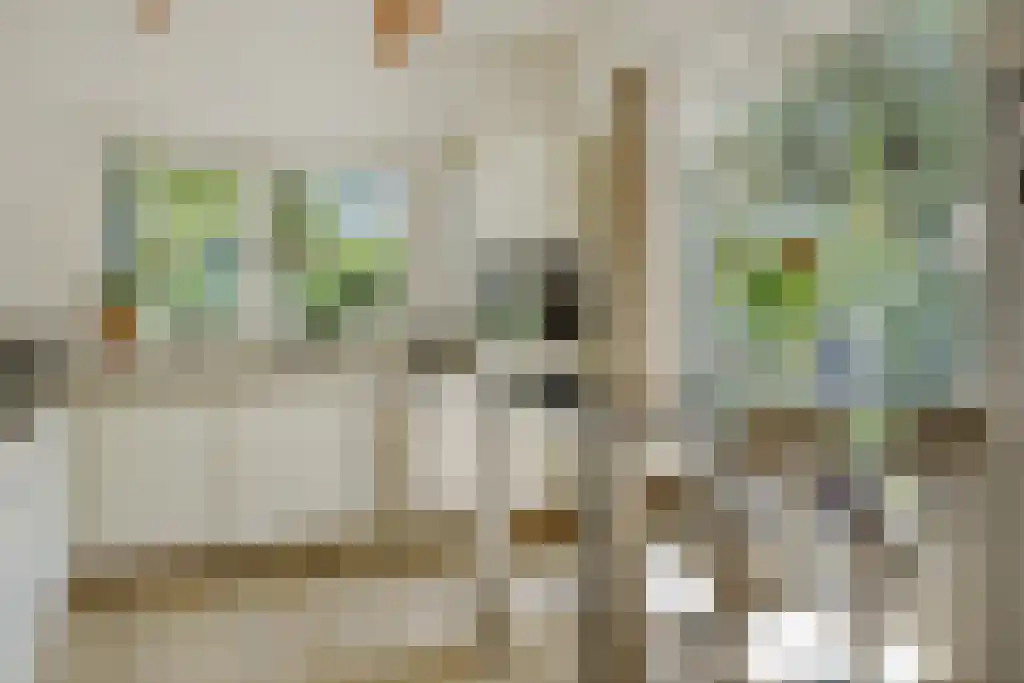 De Stille Wille 303 Oost West en Middelbeers thumbnail 4