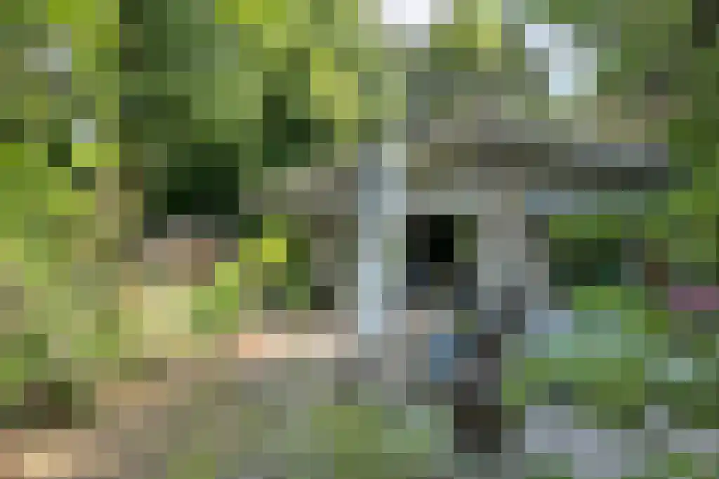 De Stille Wille 303 Oost West en Middelbeers thumbnail 40