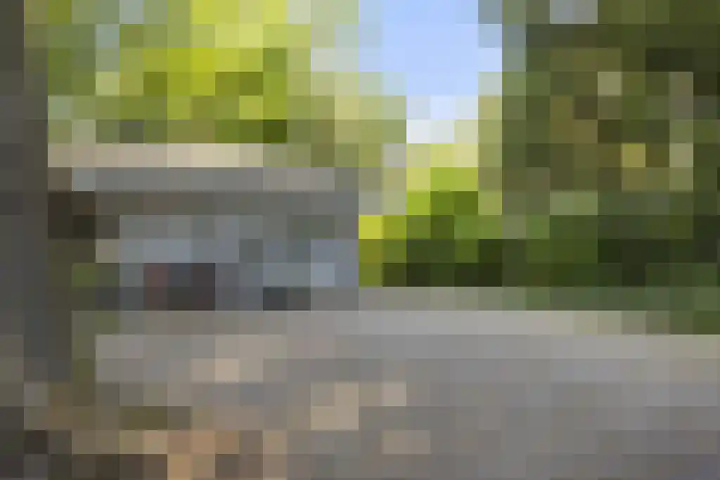 De Stille Wille 303 Oost West en Middelbeers thumbnail 41