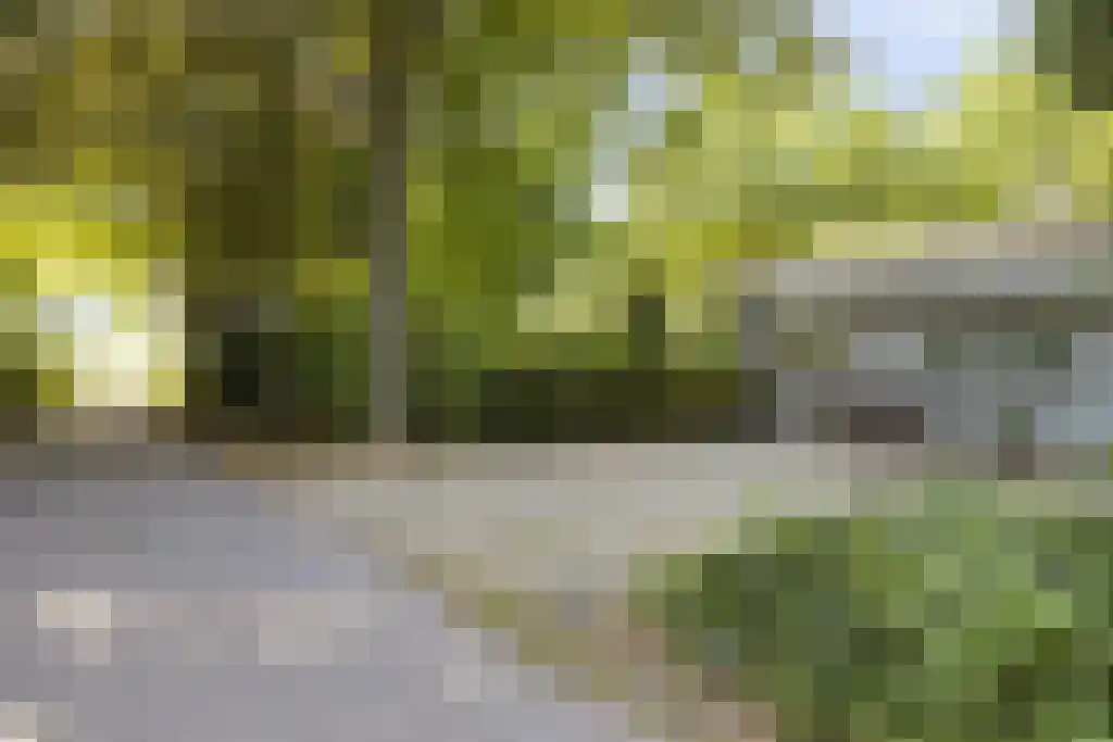De Stille Wille 303 Oost West en Middelbeers thumbnail 42