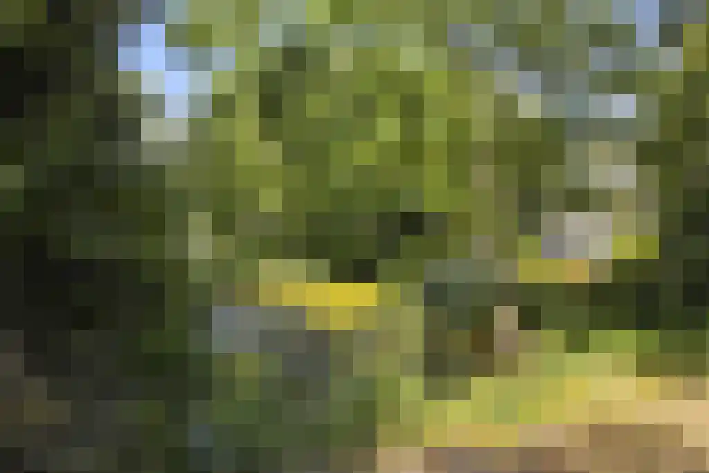 De Stille Wille 303 Oost West en Middelbeers thumbnail 43