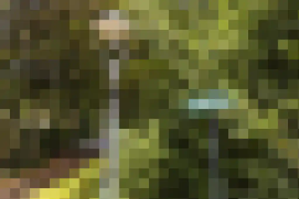 De Stille Wille 303 Oost West en Middelbeers thumbnail 44