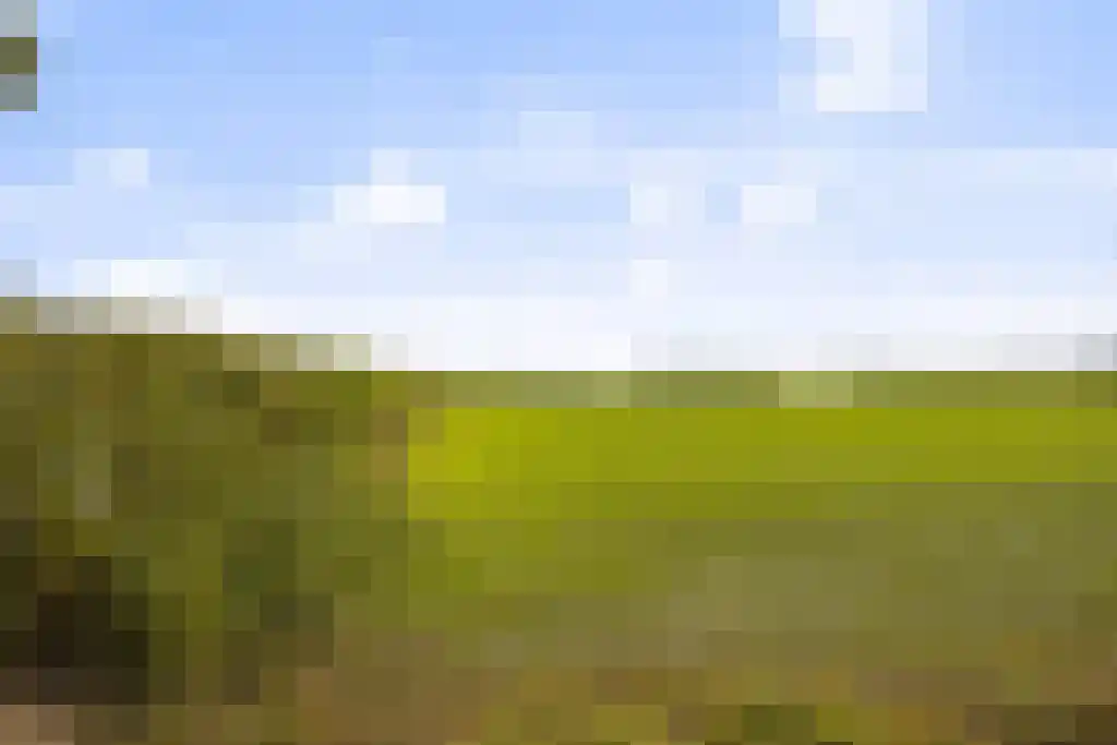 De Stille Wille 303 Oost West en Middelbeers thumbnail 46