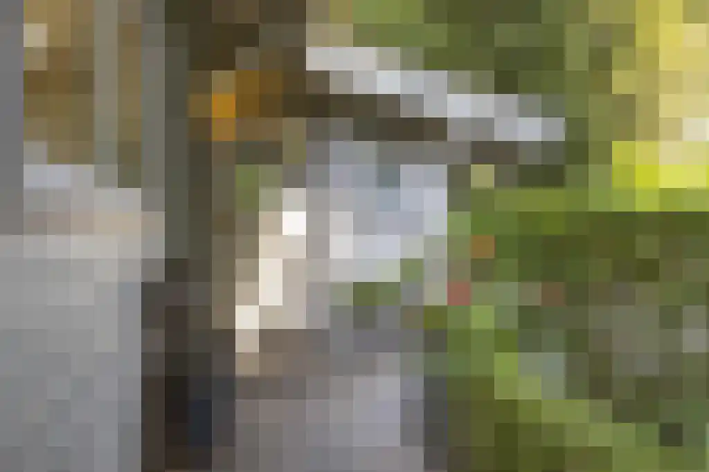 De Stille Wille 303 Oost West en Middelbeers thumbnail 7