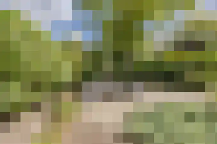 De Stille Wille 306 Oost West en Middelbeers thumbnail 26