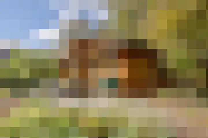 De Stille Wille 306 Oost West en Middelbeers thumbnail 27