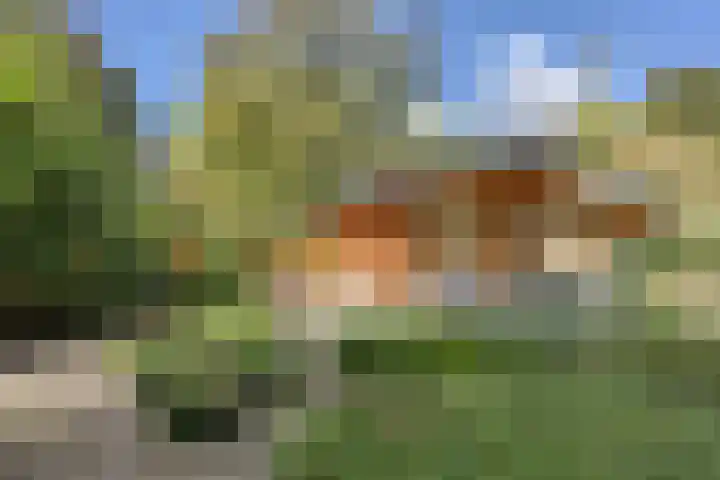 De Stille Wille 306 Oost West en Middelbeers thumbnail 29