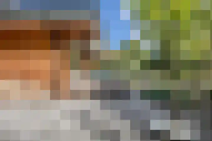 De Stille Wille 306 Oost West en Middelbeers thumbnail 30