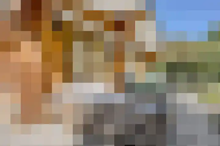 De Stille Wille 306 Oost West en Middelbeers thumbnail 31
